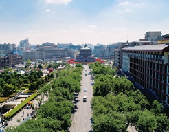 �Ӱ���������辶