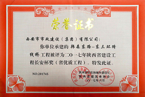 ��ɭ��·��������������